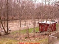 A muddy river spilling over its banks and encroaching on a wooded backyard.