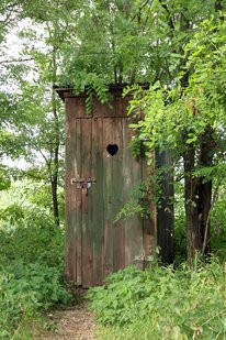 Wooden outhouse in the middle of the woods partially covered in trees with green leaves.
