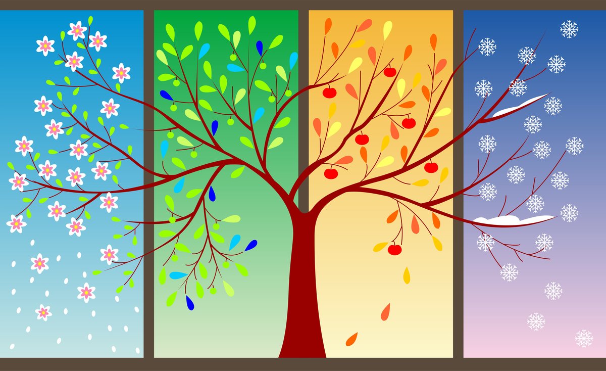Illustration of a tree segmented into the four seasons