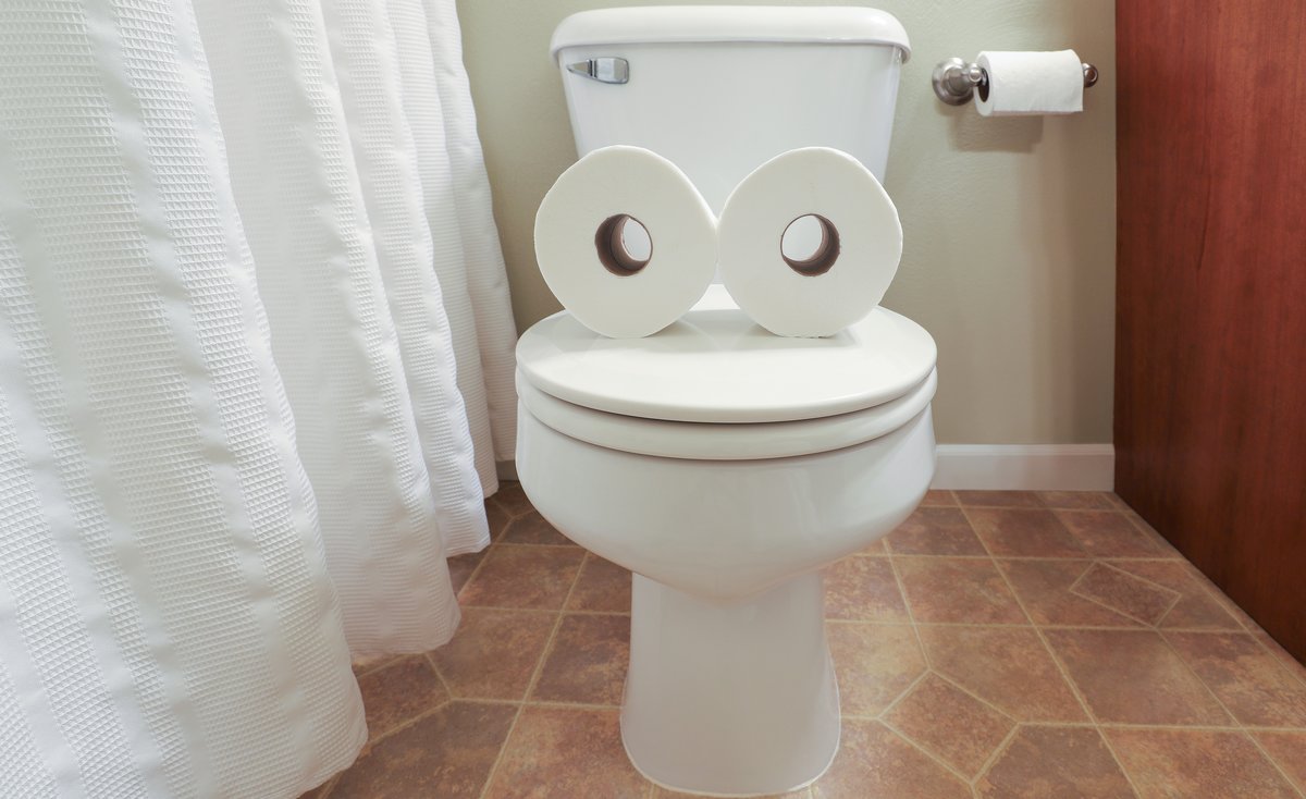 Toilet with two rolls of toilet paper sitting on top of lid to make a face