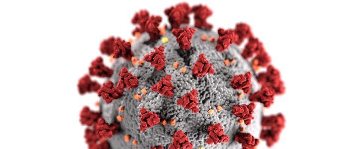 Magnified image of the coronavirus.