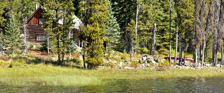 Wooden cabin in a conifer forest next to a lake.