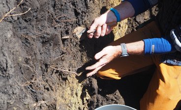 Close up of hands collecting soil